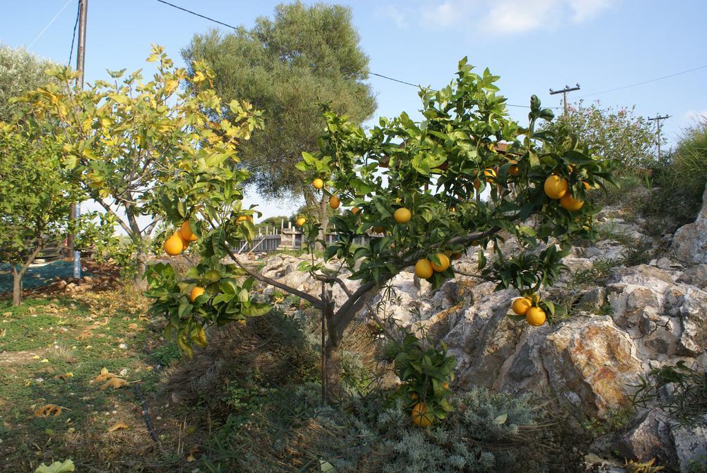 Casa vacanze O Ioannis