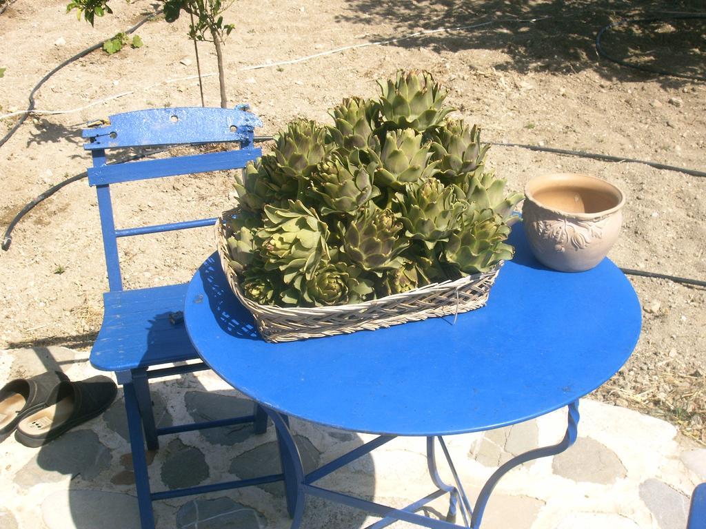 O Ioannis Casa vacanze